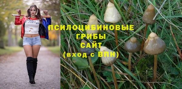MDMA Нефтегорск
