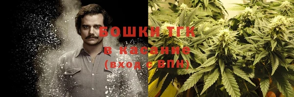 трава Нефтекумск