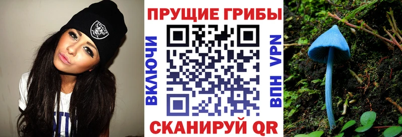 Псилоцибиновые грибы Cubensis  Кирс 